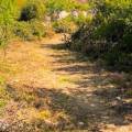 Svac Heritage Trail