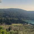 Valdanos Olive Grove