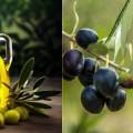 Valdanos Olive Sunset Experience