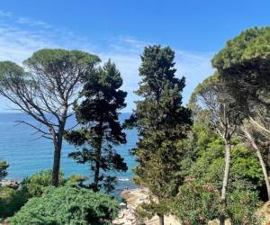 Standard Double Room (CORPUS B)